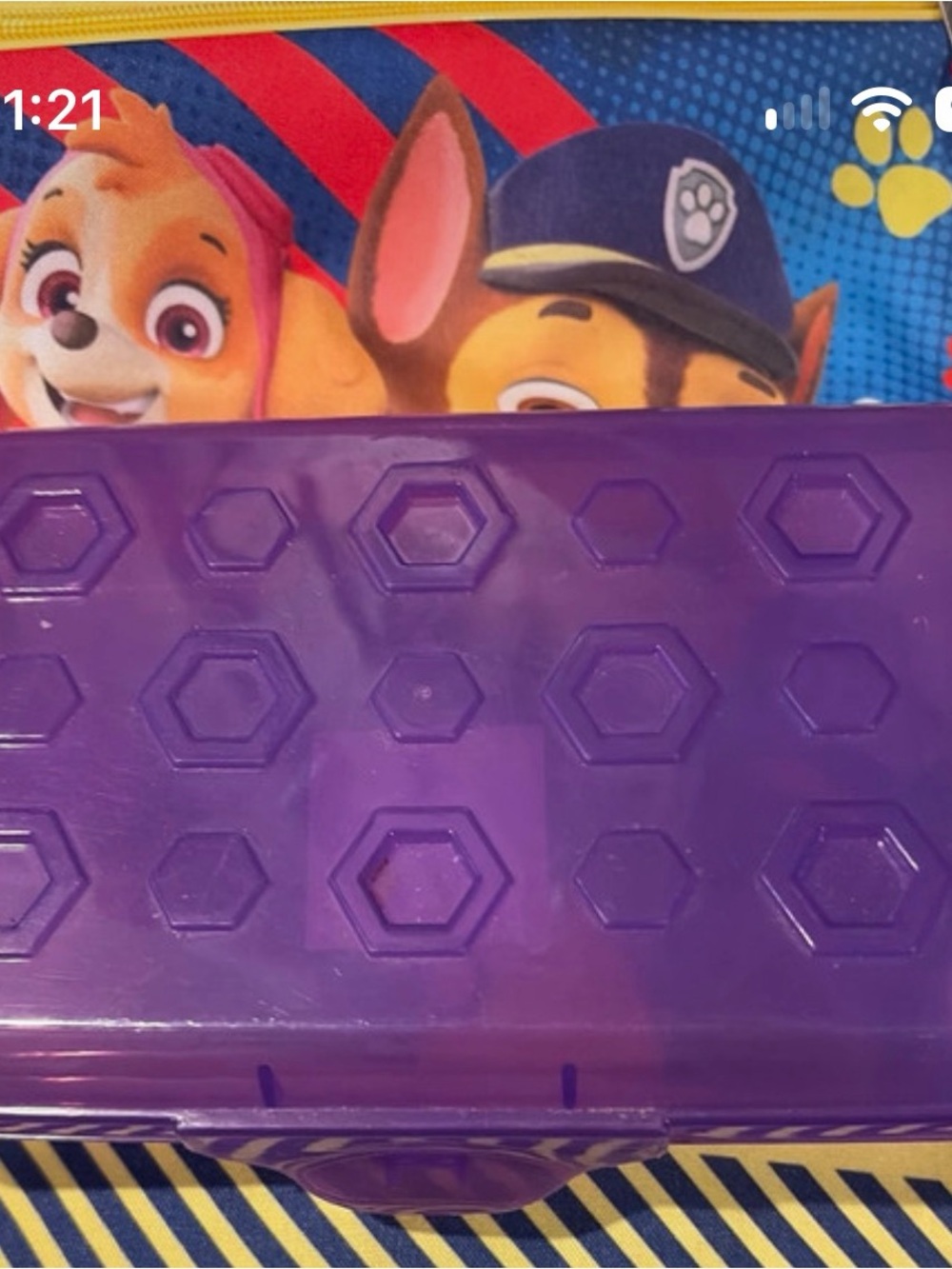 Paw Patrol Purple Character Carry Case for Kids